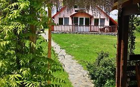 Family Mountain Cottage